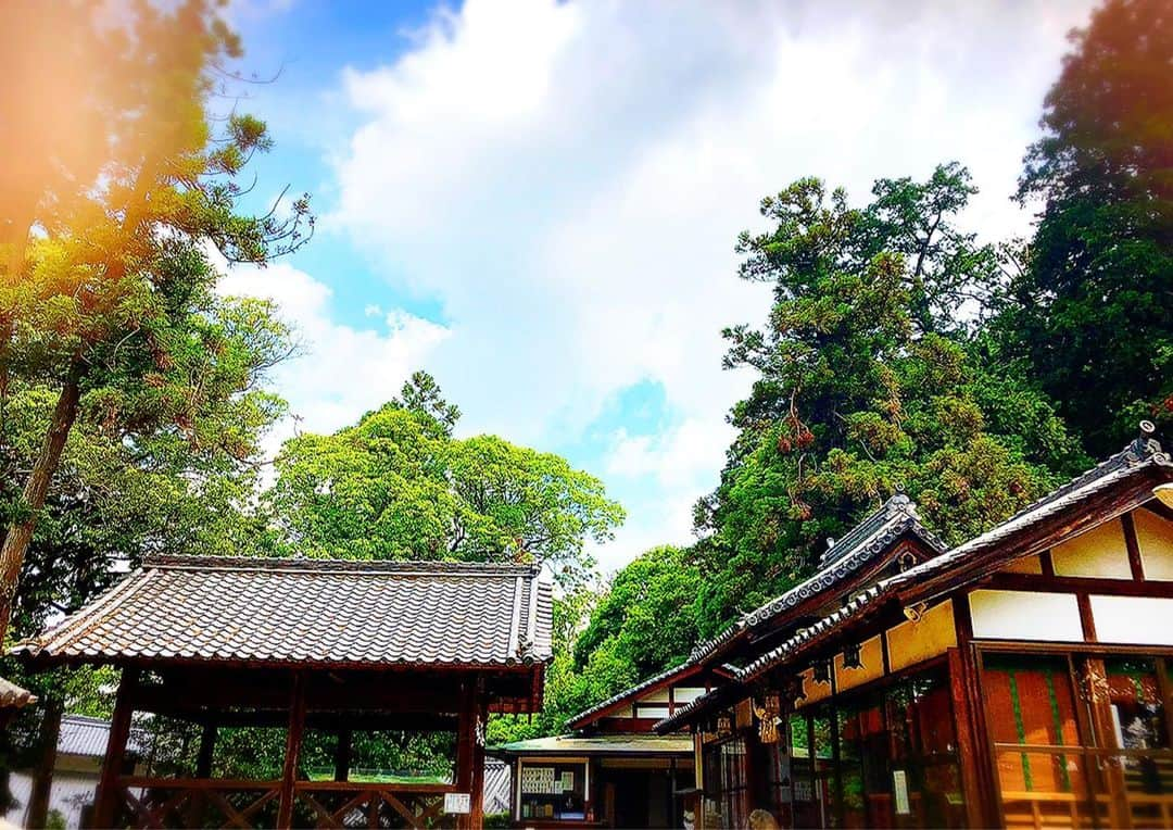 永倉由季さんのインスタグラム写真 - (永倉由季Instagram)「・ ・ 6月1日の朝一。  地元の氏神様でお朔日(ついたち) 参りからスタート。  今日の空気は清々しいヽ(´▽｀)/✨ ・ ・ ✅ 詳しくはアメブロにて↓ ・ ・ http://ameblo.jp/naga-yuki/ ・ ・ #奈良 #神社 #参拝 #地元 #氏神様 #朔日参り #清々しい #御礼 #感謝 #平穏  #祈り #龍王神社 #神社仏閣巡り #神社好きな人と繋がりたい  #令和 #元年 #あと半年  #前進」6月1日 10時55分 - yuki_nagakura67