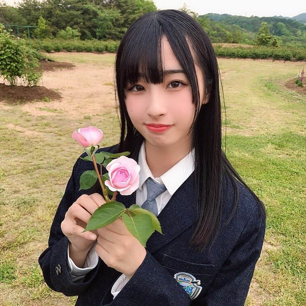 STU48さんのインスタグラム写真 - (STU48Instagram)「* 沖ちゃん🌹 * #STU48 #沖侑果  #世羅高原農場 #がんばりまSU #テレビ新広島」6月1日 11時31分 - stu48.official