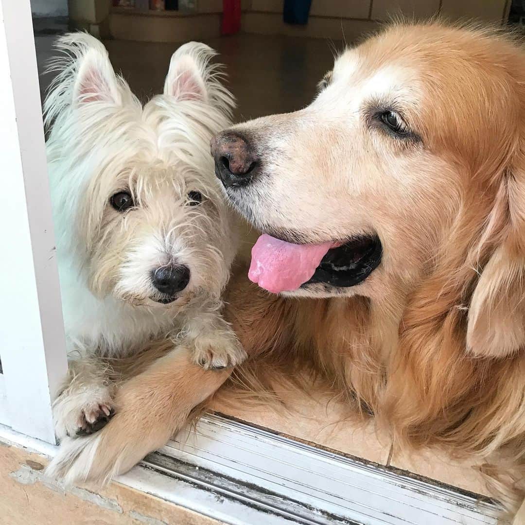Hoykong&Plamuekのインスタグラム：「Good morning! #hkpm」