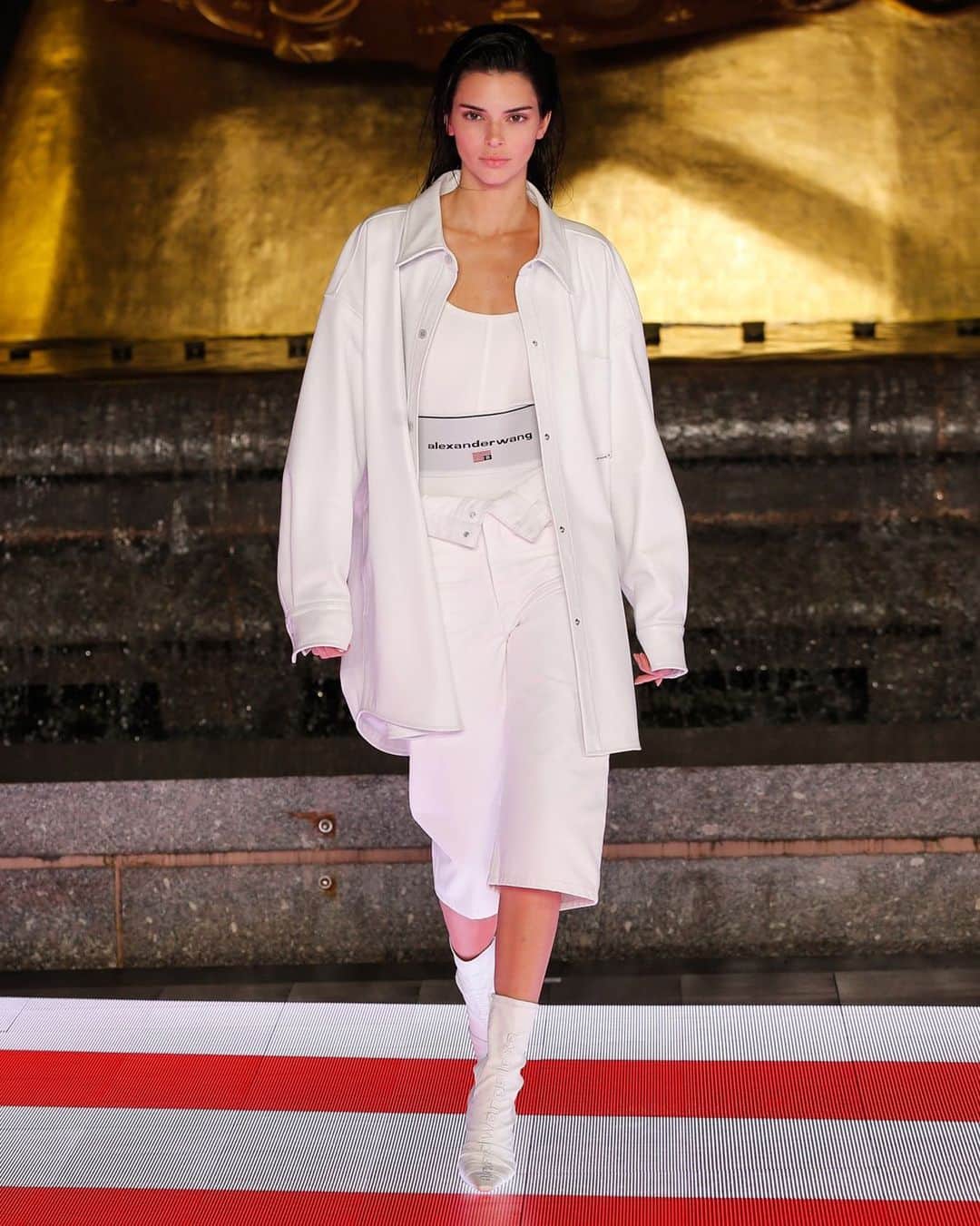 アレキサンダー・ワンのインスタグラム：「@kendalljenner takes the stage for #Collection12020 in New York City.」