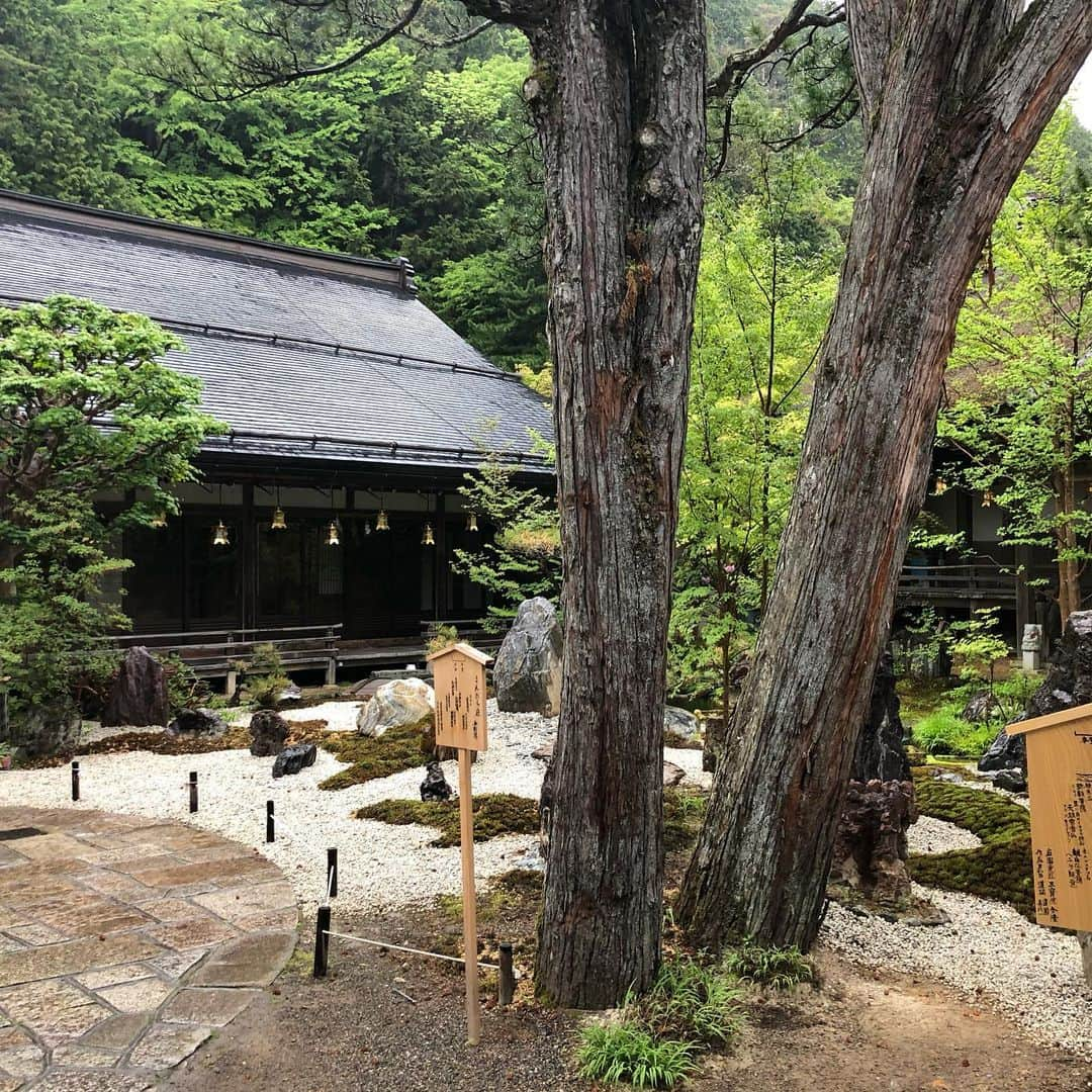 和泉元彌さんのインスタグラム写真 - (和泉元彌Instagram)「20190514 @高野山別格本山 三宝院  清浄心院にての奉納狂言を明日に控え 清めの雨に迎えられながら 宿坊に到着。  三宝院さまは 弘法大師空海の御母堂 玉依御前が開かれたお寺とか… 玉依御前は、弘法大師の体を気遣い 自ら籾をつまむかれ、お酒を作り 大師にお届けになられたと。 そんな思いを受け継がれた お寺ですね。  御住職は今の法印様です。  有難いご馳走をいただき、 暖かい布団に包まれ、 奉納に向けての心身を 整えることができました。」6月2日 0時08分 - izumimotoya