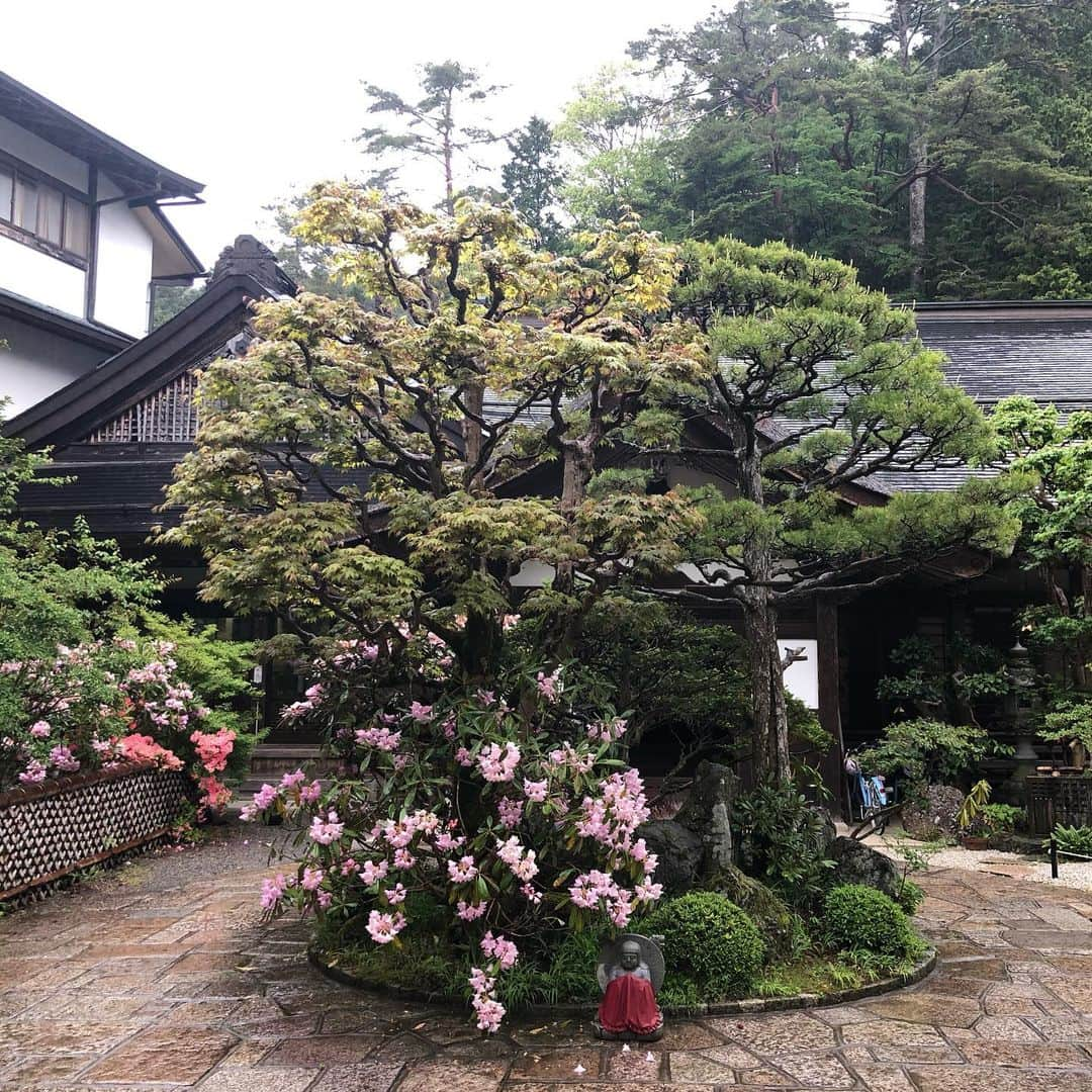 和泉元彌さんのインスタグラム写真 - (和泉元彌Instagram)「20190514 @高野山別格本山 三宝院  清浄心院にての奉納狂言を明日に控え 清めの雨に迎えられながら 宿坊に到着。  三宝院さまは 弘法大師空海の御母堂 玉依御前が開かれたお寺とか… 玉依御前は、弘法大師の体を気遣い 自ら籾をつまむかれ、お酒を作り 大師にお届けになられたと。 そんな思いを受け継がれた お寺ですね。  御住職は今の法印様です。  有難いご馳走をいただき、 暖かい布団に包まれ、 奉納に向けての心身を 整えることができました。」6月2日 0時08分 - izumimotoya