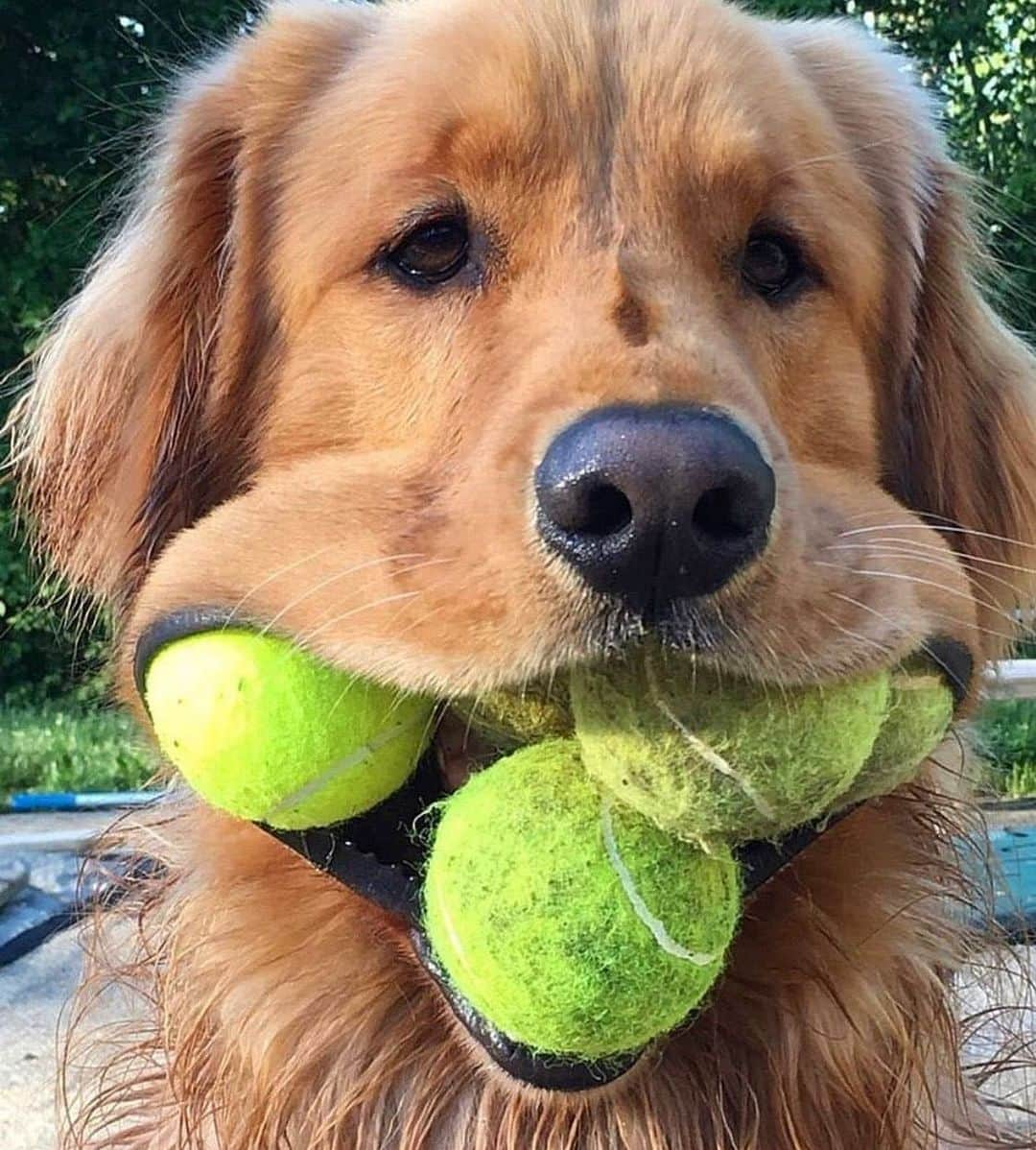 Cosmopolitanさんのインスタグラム写真 - (CosmopolitanInstagram)「Summer party tricks 🎾😂 #rg @finnyboymolloy」6月2日 0時01分 - cosmopolitan