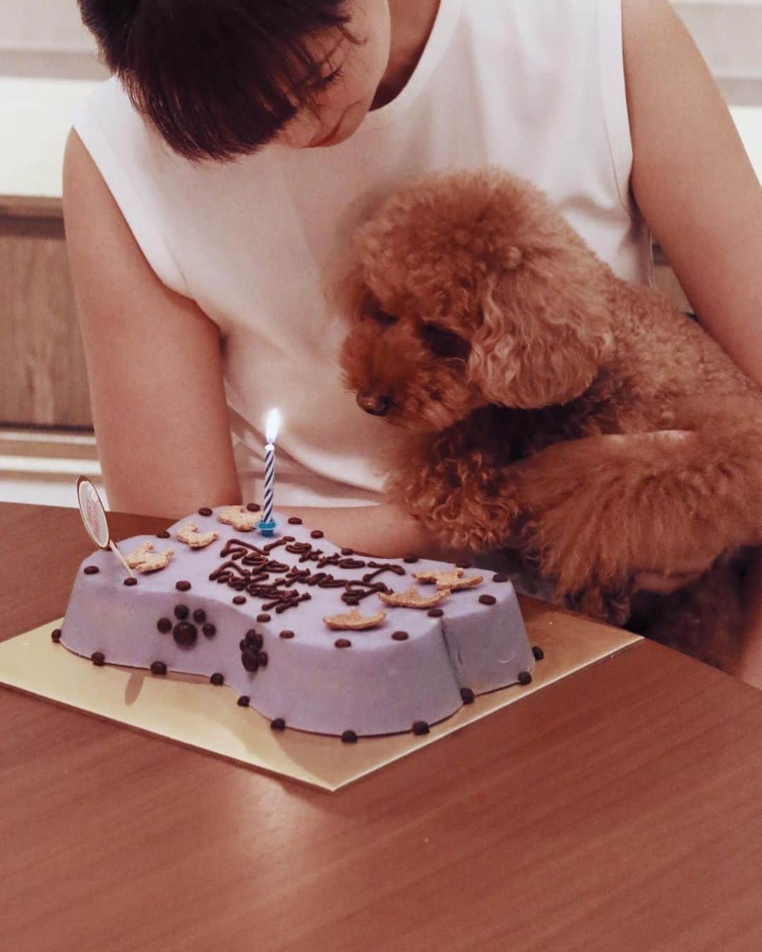 Shokoさんのインスタグラム写真 - (ShokoInstagram)「Happy 10th Birthday Latte! I still consider you as my first ‘furry’ baby. ・ Thank you for teaching me to appreciate and enjoy slow life and nature. I can’t believe it’s already been 10 years. ・ It’s been such a journey moving from Tokyo, Hong Kong and then to Singapore. Luckily there was no quarantine! ・ Thank you @caryntl16 for being an amazing friend and buying the dog cake for Latte, being as crazy as I am!! celebrating our pups bday like humans hahaha. ・ #love #babyanddog #insta_dogs #赤ちゃんと犬 #トイプードル #10歳 #happybirthday #toypoodle」6月1日 22時40分 - simplytokyo