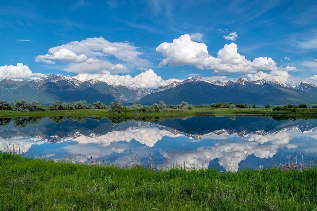 National Geographic Travelさんのインスタグラム写真 - (National Geographic TravelInstagram)「Photo by @amivitale // Sponsored by @ace_brand // Mountains are reflected in a lake in northwest Montana. Montana is not home to a lot of people, but we do have millions of acres of wilderness, bears, elk, moose, and healthy numbers of horses, sheep, and cows. // Enter the #FamilyMomentsContest for a chance to win a 3-night stay for a family of 4 in Moab, Utah! To enter, share images of your favorite family travel moments to Instagram with the hashtag #FamilyMomentsContest and tag @natgeotravel. The contest, sponsored by @ace_brand, runs from June 1 to June 30, 2019. U.S. residents only. For more information, go to nationalgeographic.com/familytravelmoments.」6月1日 22時41分 - natgeotravel