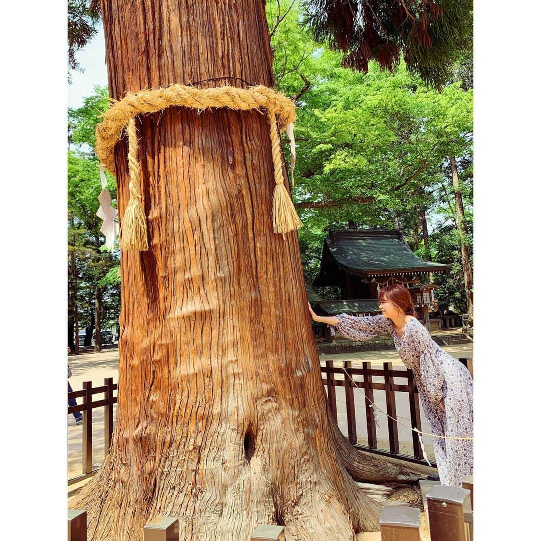 浅田梨奈さんのインスタグラム写真 - (浅田梨奈Instagram)「地元長野でOFF⛩🌲✨ #プロボウラー #浅田梨奈 #オフ日 #穂高神社⛩ #木の香り #孝養杉パワー🙌 #四柱神社⛩ #牧場ソフトクリーム最高🍦 #帰ったら絶対これ食べる #北アルプス牧場 #縄手通り #パン屋さん #スヰト #sweet #sweet縄手本店 #縄手にいるよって言ったら #浅田兄と姉に #スヰトのパン買ってきて #って揃って言われた #昔からある老舗のパン屋さん #食パンが美味しいよ」6月1日 23時01分 - asdrn528