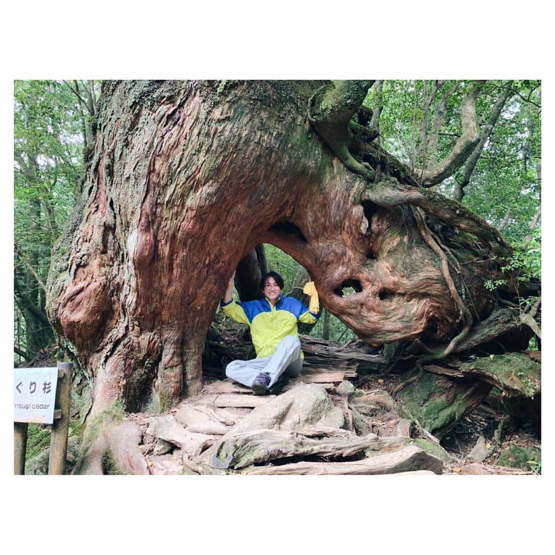 前原穂高のインスタグラム：「先週末は幹部で屋久島に勉強に行ってきました！ 大自然の中で皆で勉強してると お店の未来がどんどん希望に溢れていきました👍 絶対いいお店にすると誓った屋久島の3日間。 良い思い出になりました！ 来年もまた来るぞー😍 ㅤㅤㅤ #屋久島 #もののけにもでてきた苔の森もみたよー」