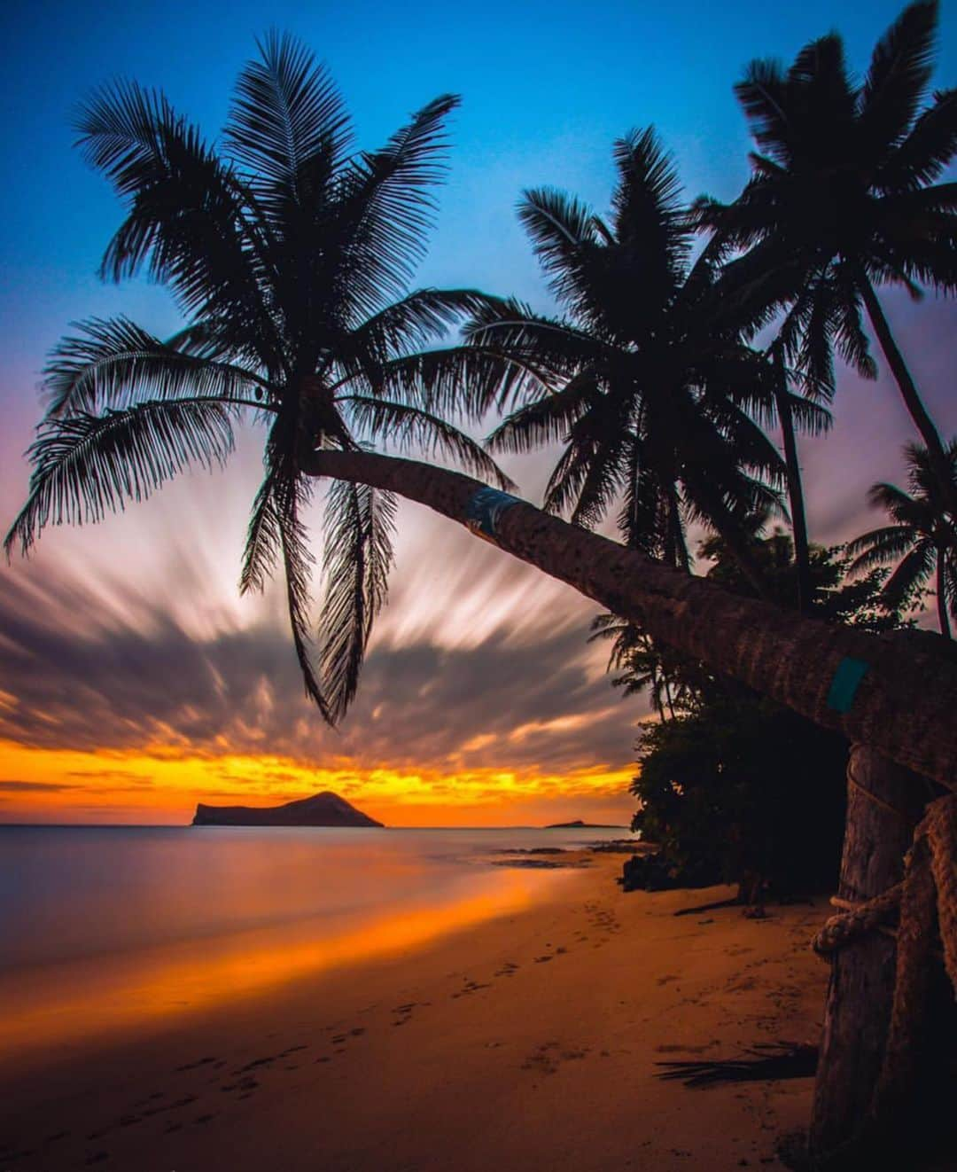 Awesome Wonderful Natureさんのインスタグラム写真 - (Awesome Wonderful NatureInstagram)「Honolulu, Hawaii Photos by @crisp_artography  #fantastic_earth」6月1日 23時29分 - fantastic_earth