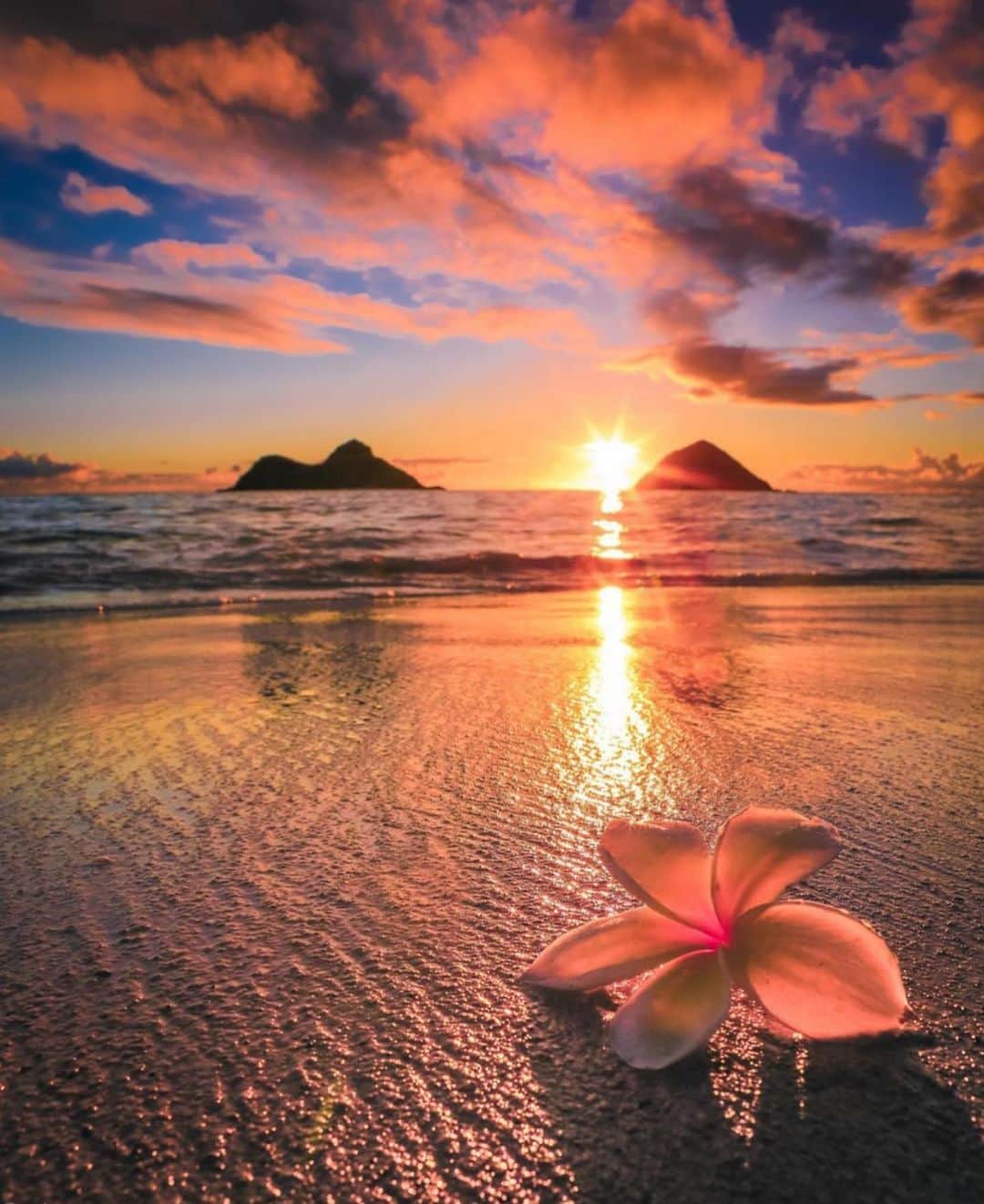 Awesome Wonderful Natureさんのインスタグラム写真 - (Awesome Wonderful NatureInstagram)「Honolulu, Hawaii Photos by @crisp_artography  #fantastic_earth」6月1日 23時29分 - fantastic_earth