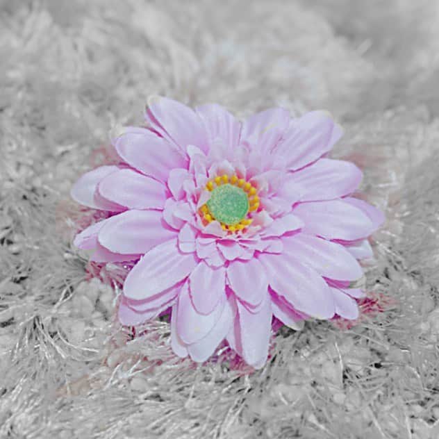 徳本夏恵（なちょす）さんのインスタグラム写真 - (徳本夏恵（なちょす）Instagram)「このお花もしかするとおぼえていてね。🌸🌸 おやすみなさい。  #秘密の撮影」6月1日 23時37分 - nachos_kimono