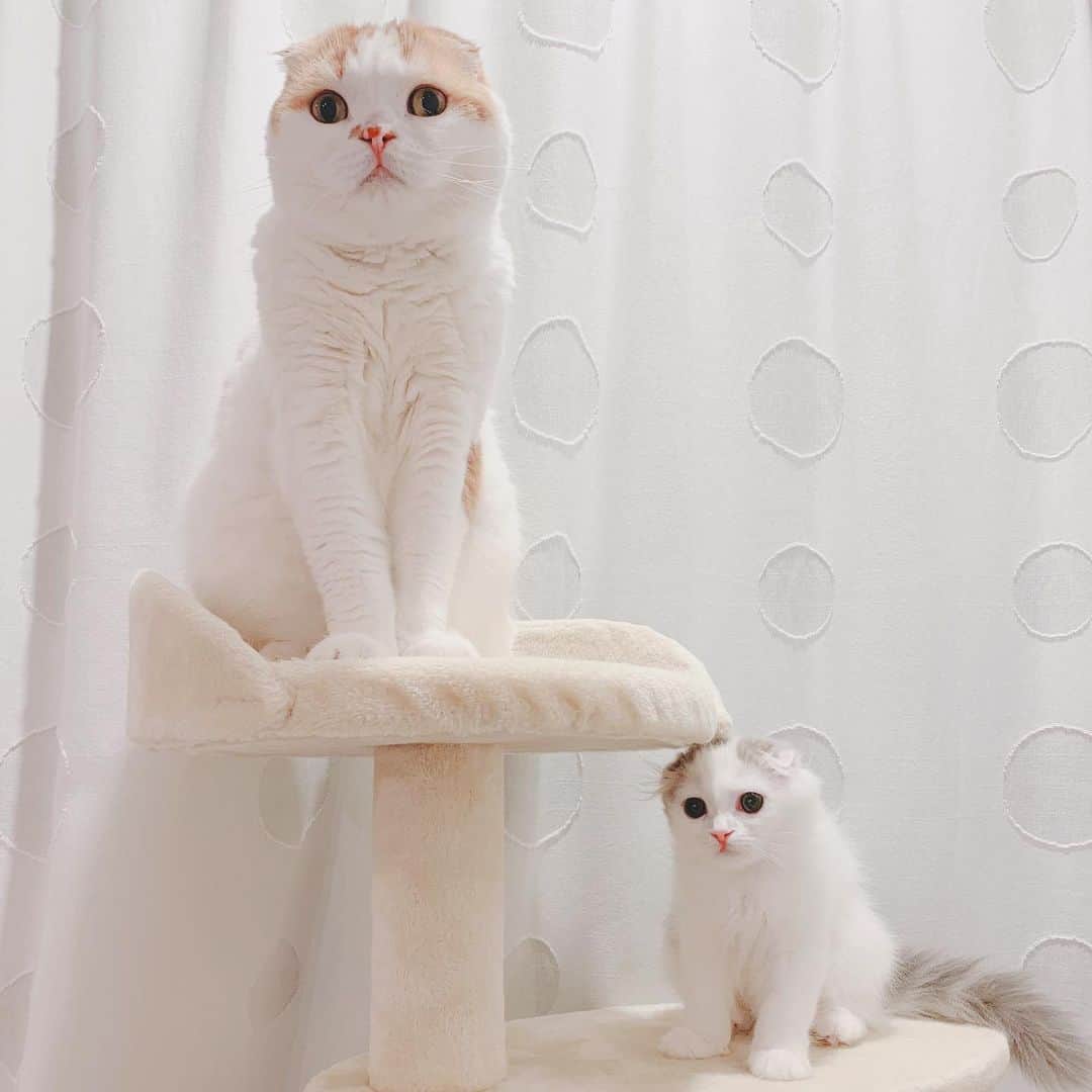のんたのインスタグラム