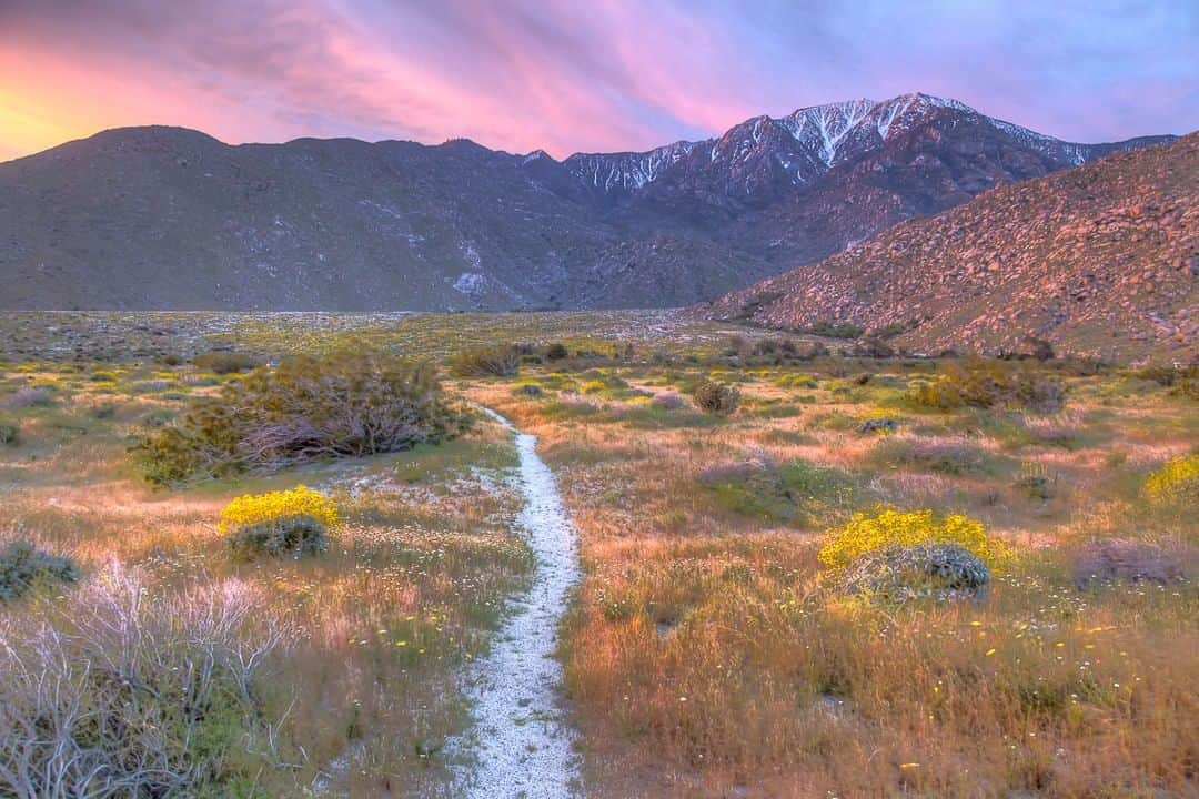 アメリカ内務省さんのインスタグラム写真 - (アメリカ内務省Instagram)「Happy #NationalTrailsDay! We're celebrating the National Trail System and the way trails connect us to adventure, exercise, natural beauty and one another. From a relaxing walk through the woods to a challenging hike, their variety in length, scenery and difficulty offers something for everyone. This photo captures a pink sunrise at mile 200 of the legendary Pacific Crest National Scenic Trail, which stretches 2,650 miles from Mexico to Canada. Whether you choose to hike locally or amongst desert wildflowers in bloom, everyone deserves a #journey along a trail. Photo by Bob Wick, Bureau of Land Management. #GreatOutdoorsMonth #NationalTrailsDay #usinterior #FindYourWay #PCT」6月1日 23時59分 - usinterior