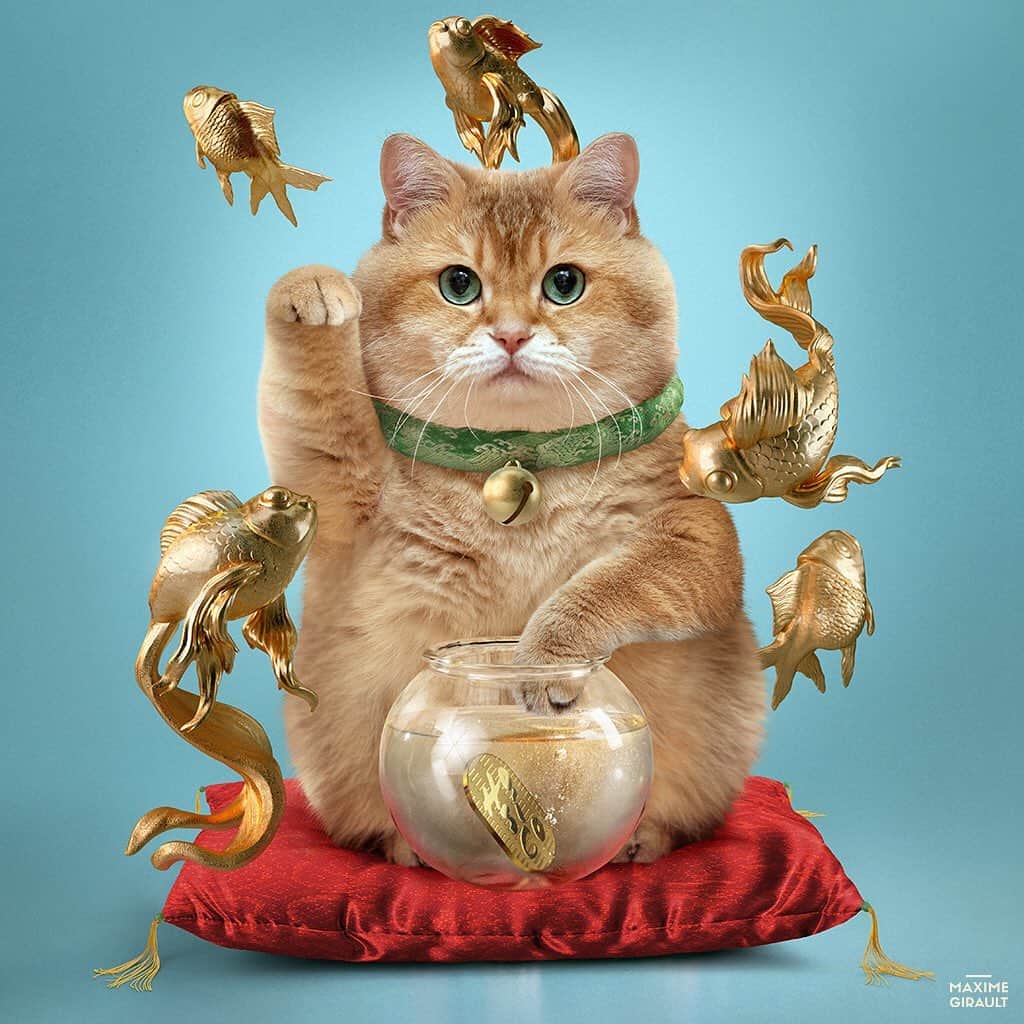 Hosicoさんのインスタグラム写真 - (HosicoInstagram)「Hi guys! I would like to introduce you new print in our collection, designed by unbelievable @maxximegirault - Hosico the gold maneki-neko, bringing happiness money and luck to your life! 🌟🍀🐱 You can get a T-shirt sweatshirt or different accessories and check that out! Link in bio @hosico_cat 💮」6月1日 23時51分 - hosico_cat