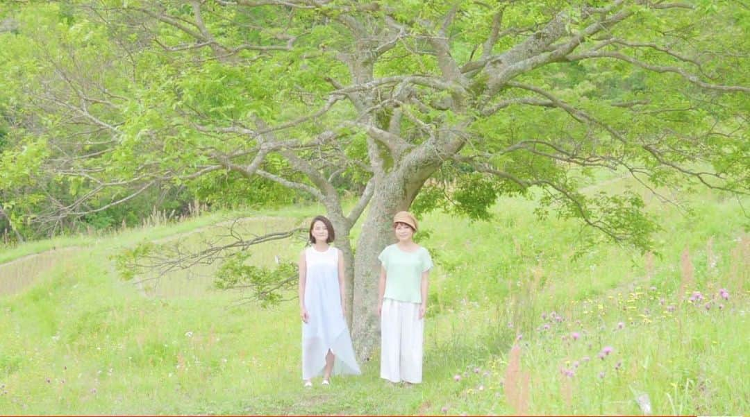 東里梨生さんのインスタグラム写真 - (東里梨生Instagram)「『２人なら』MV、YouTubeにて公開㊗️🙌 清涼飲料水「CHOYA 夏梅」（チョーヤ梅酒株式会社）のCM楽曲に決定した、 『２人なら』（アルバム「うりずんの歌」収録）のミュージックビデオがYouTubeにて公開となりました！  皆様、ぜひご覧ください♪ https://youtu.be/ls8Gm_xG848  #チョーヤ #夏梅 #やなわらばー  #2人なら」6月1日 15時19分 - aizatorio_yanawaraba