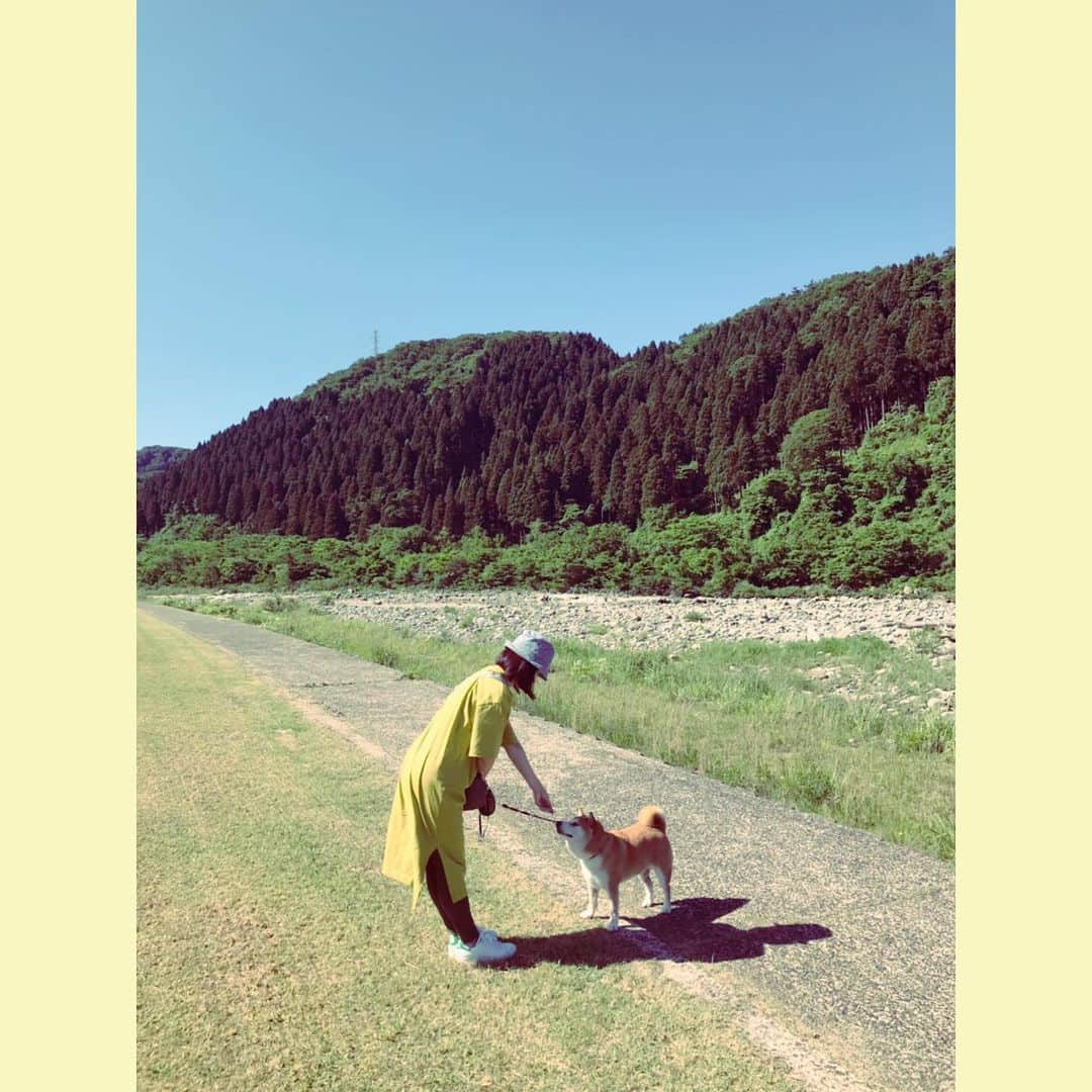 Hanamichi ＆ ℕㆁℜ〡ｋㆁ♡のインスタグラム：「・ ・ 空と緑と川と風と 柴犬と✨ ・ ・ With the sky, the green, the river, the wind, and the DOG✨ ・ ・ #わたしのしあわせ #柴犬 #しばいぬ #子犬 #わんこ #dog #shiba #puppy #love」