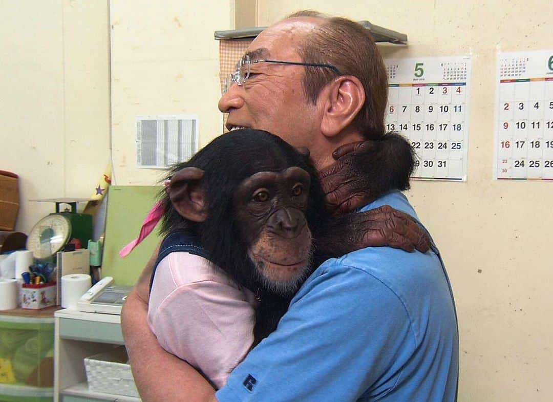 天才！志村どうぶつ園のインスタグラム