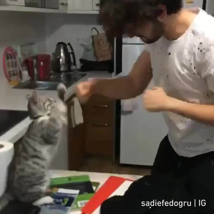 Aww Clubのインスタグラム