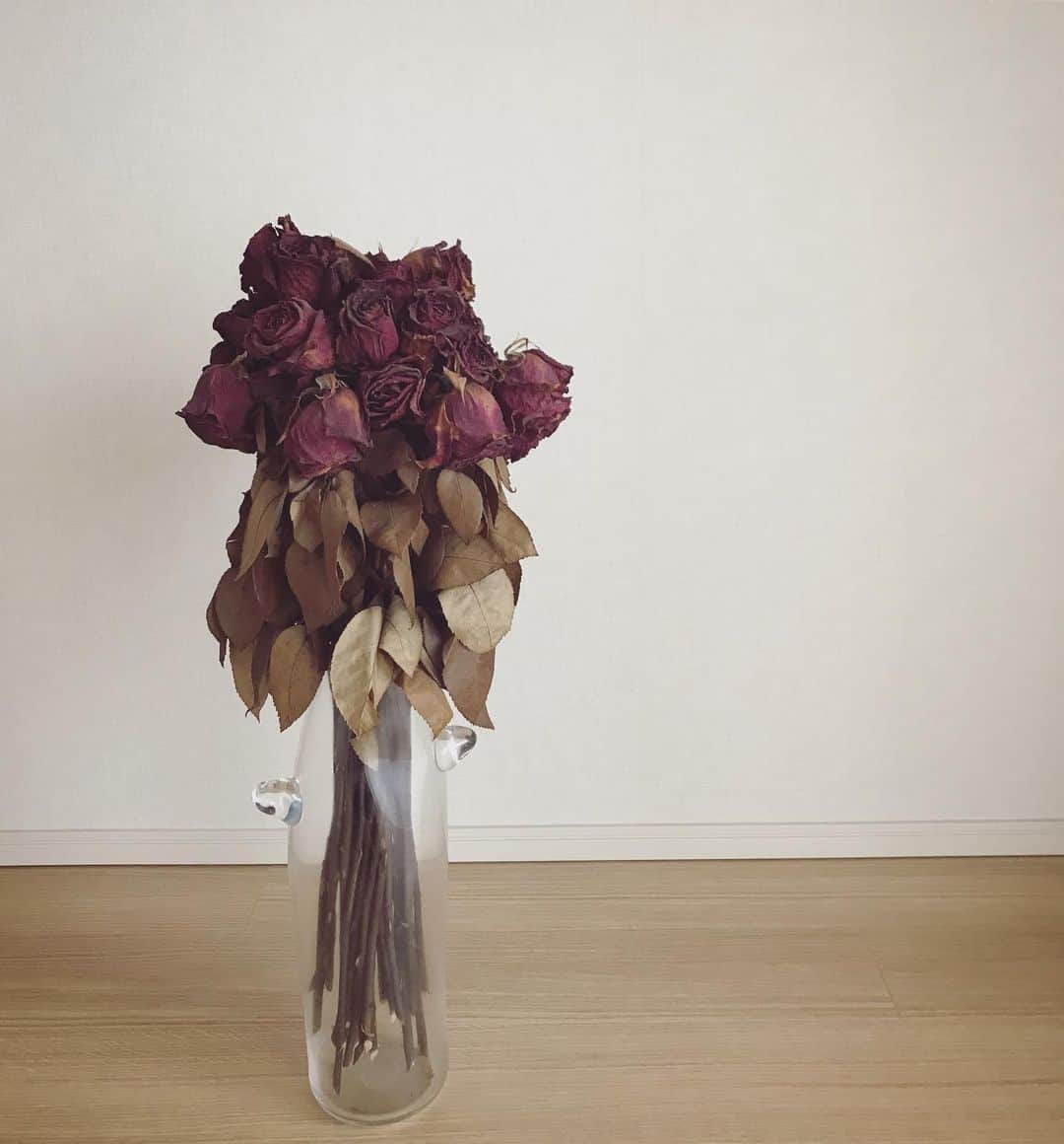 加藤未央さんのインスタグラム写真 - (加藤未央Instagram)「このお花たち、実は夫にプロポーズしてもらった時にプレゼントされた花束。 あまりに感動したので残しておきたくて、なるべく退色しないように自分で処理して乾燥させて、大事に飾っています。🌹✨ #roses #残しておきたい瞬間 #🌹🌹🌹 #フラワーベースもお気に入り」6月1日 18時01分 - mio.ka10