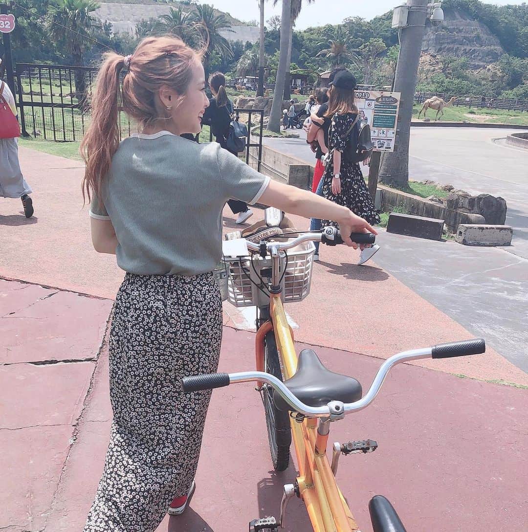 のインスタグラム：「ㅤㅤㅤㅤㅤㅤㅤㅤㅤㅤㅤㅤㅤ 今日は和歌山のアドベンチャーワールドに行ったよ❤️ ２人乗り自転車でパーク回って楽しかった😂 ㅤㅤㅤㅤㅤㅤㅤㅤㅤㅤㅤㅤㅤ 今日は和歌山の旅館で一泊して明日帰ります☺️ 明日和歌山で何しよかなぁ🤔 おすすめありますか？💓 ㅤㅤㅤㅤㅤㅤㅤㅤㅤㅤㅤㅤㅤ #和歌山 #アドベンチャーワールド #白浜 #自転車 #お出かけ」