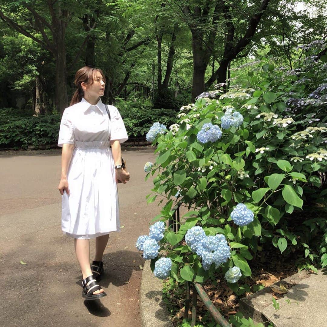 園都さんのインスタグラム写真 - (園都Instagram)「❁﻿ ﻿ ﻿ 紫陽花みーつけた。﻿ ﻿ ﻿ ﻿ 今日は良いお天気だから﻿ 新しいワンピースを着ておでかけ。﻿ ﻿ ﻿ ﻿ 真っ白の涼しげなワンピで気分を上げて﻿ 6月スタートだね！！！ ﻿ @u_dresser #u_dresser」6月1日 18時22分 - miyakosono_official