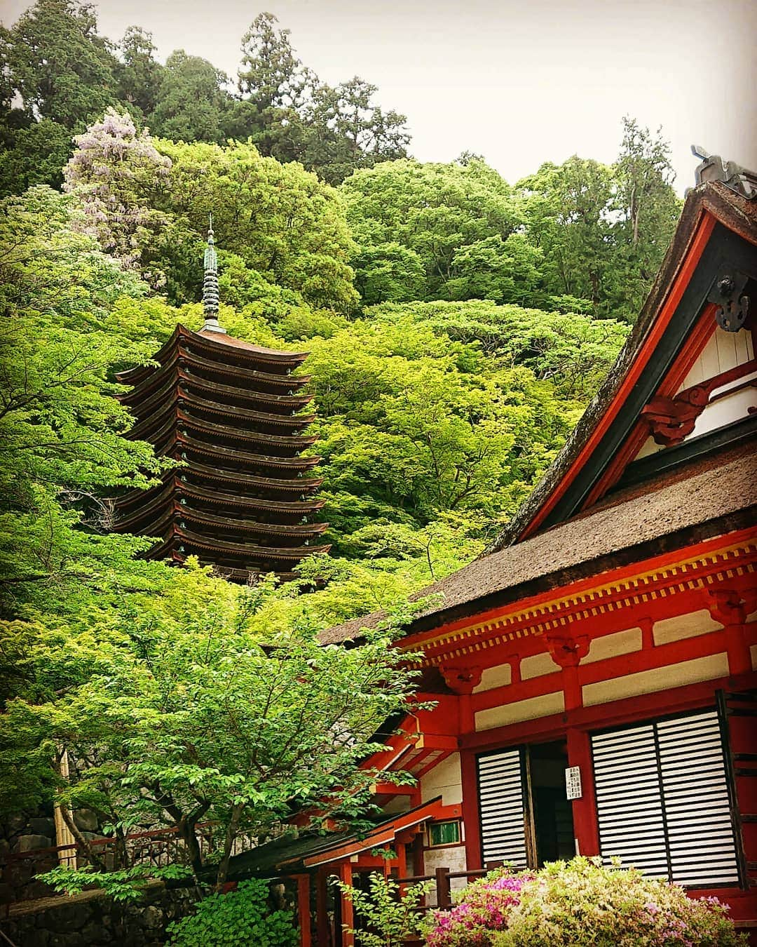 和田益典さんのインスタグラム写真 - (和田益典Instagram)「◆ 新緑の談山神社「四」 . 2019年5月18日(土) スマホ撮影 . 談山神社といえば、やはりこのアングル。 . 近鉄の駅とかに貼ってる定番の構図です。 . 紅葉ではなく新緑versionもなかなかのモノですな。 . . #わだます塔巡り #わだます寺社巡り . #談山神社 #奈良 #大和路 #いにしえの大和 #中臣鎌足 #十三重塔 #多武峰 #奈良県 #桜井市 #神社 #桧皮葺 #神廟拝所 #新緑 #shrine #japanesehistory #朱色 #緑 #重文 #重要文化財 #スマホ #歴史 #日本史 #木造建築 #塔 #tower #japan #photo #nara .」6月1日 19時03分 - masunori_wada