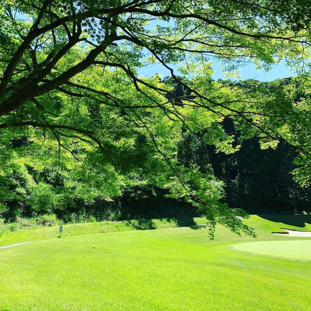 仁田宏和さんのインスタグラム写真 - (仁田宏和Instagram)「ゴルフ 行きたい。 行きたい。 行きたい。 行きたい。  駄々こねる、、 #暴れてる #暑い #ゴルフ #行きたい #駄々こねる」6月1日 19時17分 - nitty0311