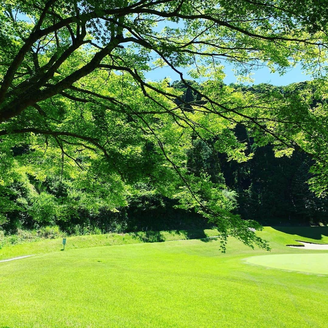 仁田宏和のインスタグラム：「ゴルフ 行きたい。 行きたい。 行きたい。 行きたい。  駄々こねる、、 #暴れてる #暑い #ゴルフ #行きたい #駄々こねる」