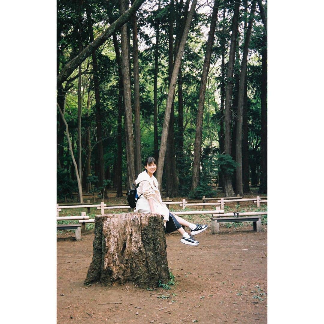 芳根京子さんのインスタグラム写真 - (芳根京子Instagram)「ジブリの世界に入り込んでる気分になってる。  #film #座れそうな切り株 #見つけて走る」6月1日 19時17分 - yoshinekyoko