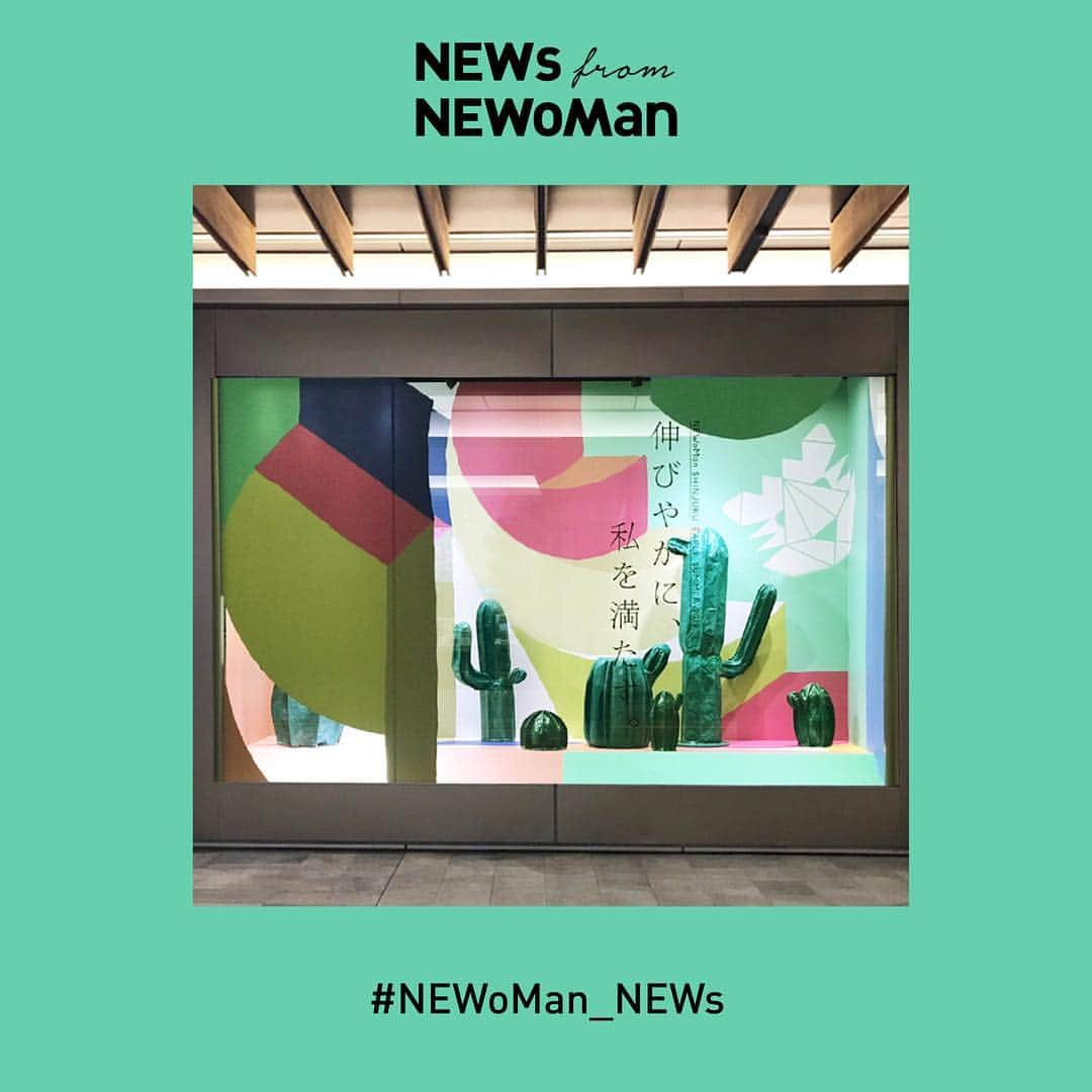 NEWoMan_officialさんのインスタグラム写真 - (NEWoMan_officialInstagram)「#NEWoMan ・ NEWoMan WINDOW DISPLAY ・  5月7日（火）～6月23日（日）の期間中、NEWoManが提案するライフスタイルテーマ『伸びやかに、私を満たす。』を、PAPIER TIGRE （パピエ ティグル）がデザイン、ディレクションを手がけ、2Fのウィンドウディスプレイで表現しました。 続きはNEWoMan新宿公式HP（www.newoman.jp/sp/display）よりご覧ください。 ・ #NEWoMan_NEWs #NEWoMan_WINDOW_DISPLAY #ウィンドウディスプレイ #ディスプレイデザイン #PAPIERTIGRE #パピエティグル #display #art #shinjuku #windowdisplay #ニュウマン #伸びやかに私を満たす。」6月1日 19時21分 - newoman_shinjuku