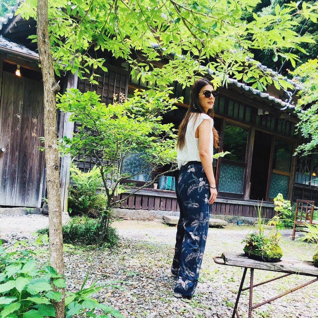 スザンヌのグルメインスタ