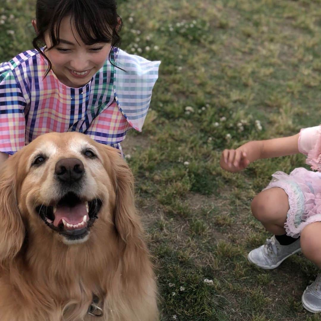 のインスタグラム：「-﻿ 姪っ子とお散歩していたら、可愛いゴールデンと一緒に出会って一緒に遊んでもらいました🐶﻿ ﻿ 優しいし良い子だし、賢いし、可愛すぎました💓﻿ ﻿ また会えたらいいな😊﻿ ﻿ #姪っ子#ゴールデンレトリバー#犬#可愛すぎ」