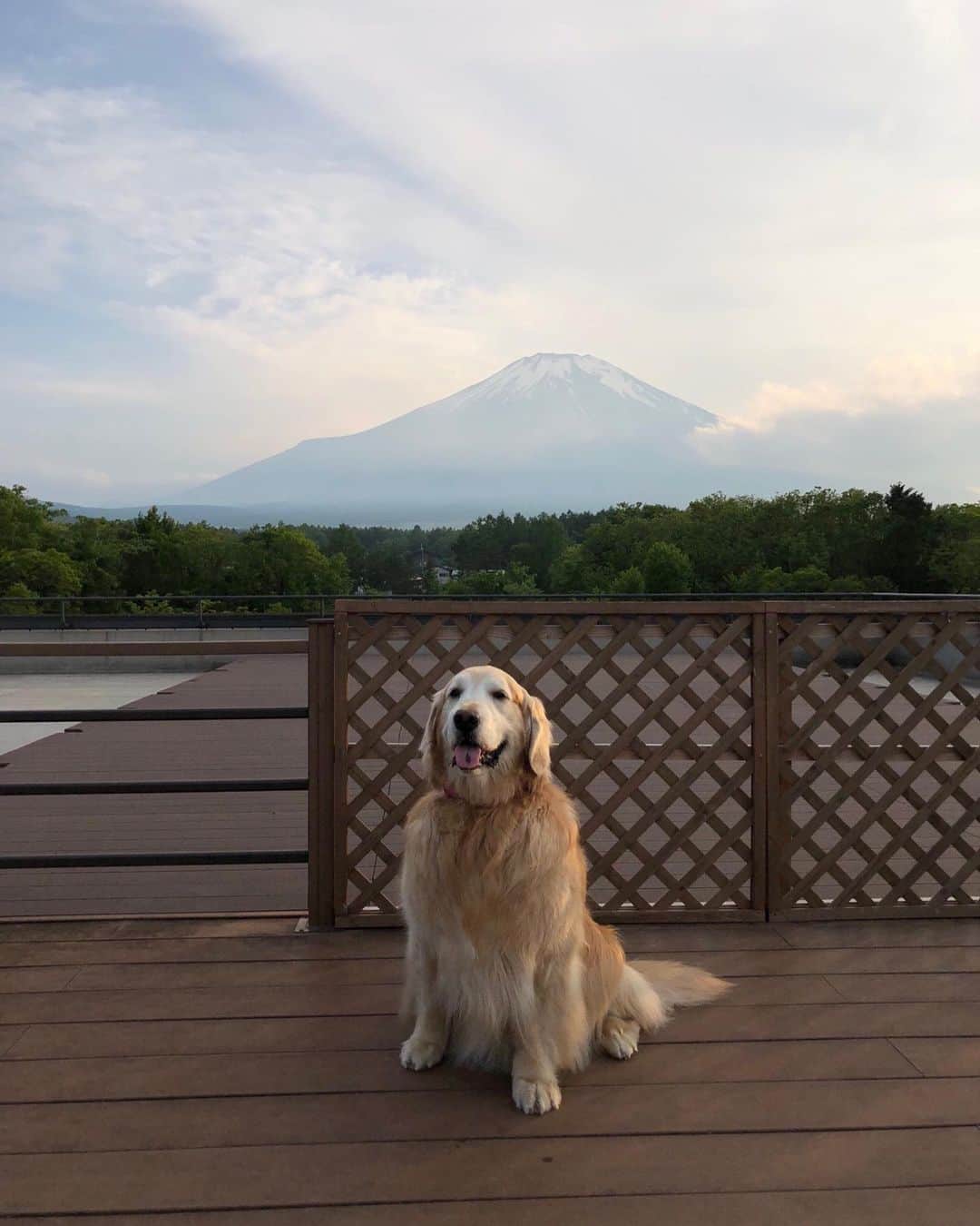 高橋ひとみさんのインスタグラム写真 - (高橋ひとみInstagram)「昼間は見えなかった富士山🗻が夕方、雲が晴れて美しい姿を見せてくれました！ #sloane #sergiorossi」6月1日 20時10分 - hitomi_momoe