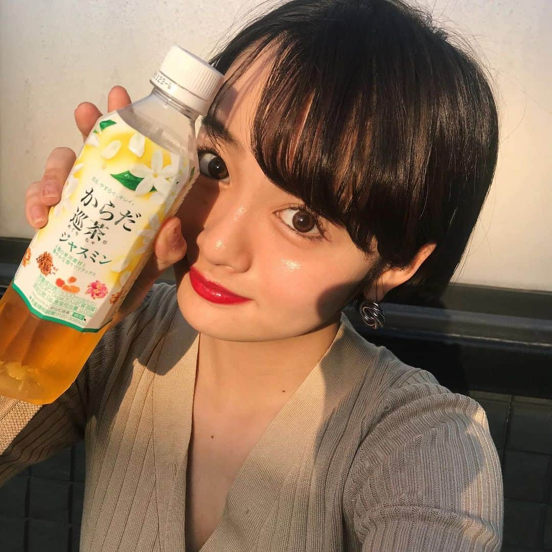 渡邊さくらさんのインスタグラム写真 - (渡邊さくらInstagram)「新発売のジャスミンティー🌱 香りも味もリラックスできる☺️ #からだ巡茶ジャスミン #ジャスミンティー #からだ巡茶 #からだ巡茶ジャスミンで10秒リラックス #PR」6月1日 20時26分 - _sakuran_