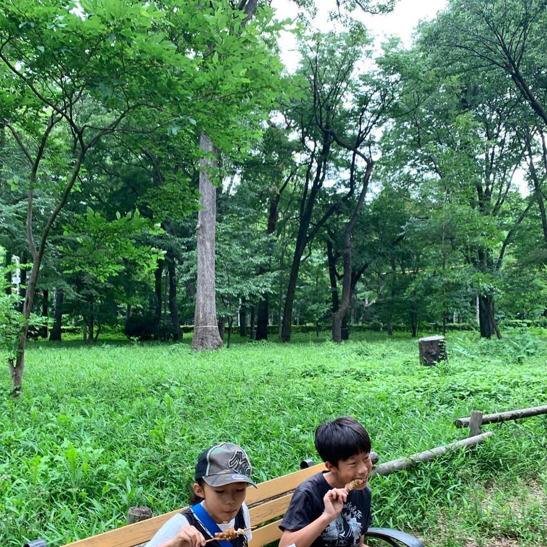 AYUMIさんのインスタグラム写真 - (AYUMIInstagram)「家族で公園散歩🌿 息子の部活のあとに、電車に乗って 公園に行って、ご飯を食べて 幸せな時間 . . #きもちのいい季節🌿 #しゅうまつ #公園散歩 #家族時間」6月1日 20時42分 - ayumiayunco