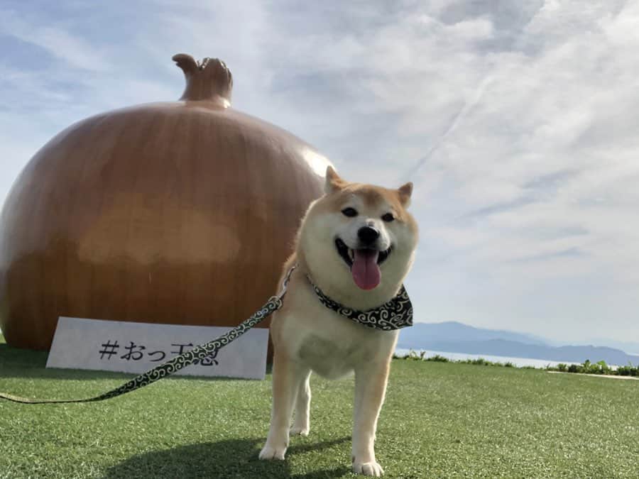 豆助左衛門（まめすけざえもん）のグルメインスタ