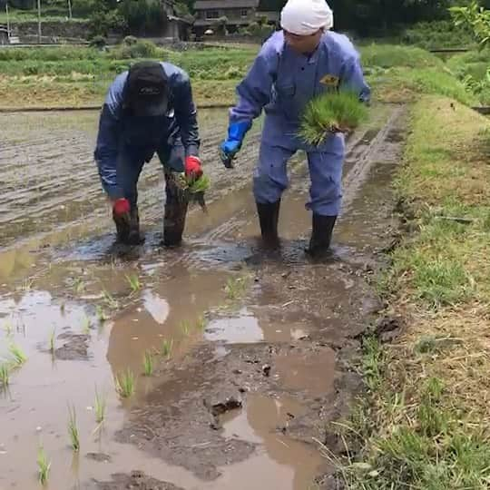 河本準一のインスタグラム