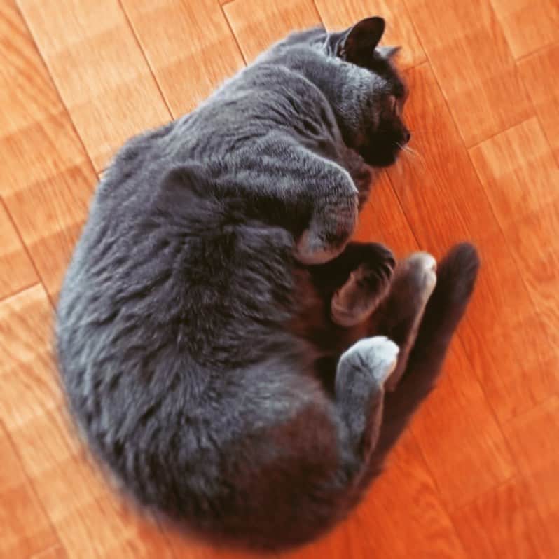 チキン南蛮カレーのルウ王子のグルメインスタ