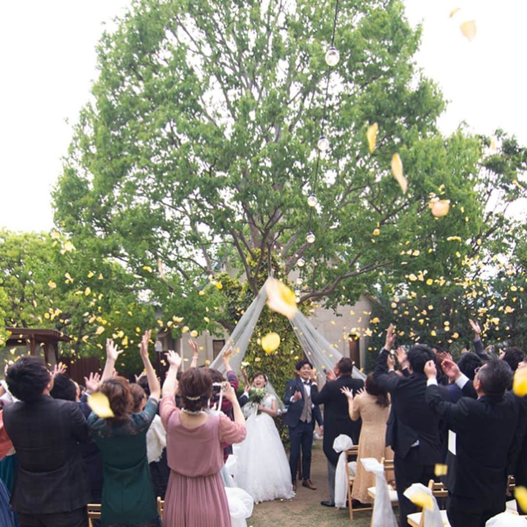 The Sally Garden（ザ サリィガーデン）のグルメインスタ