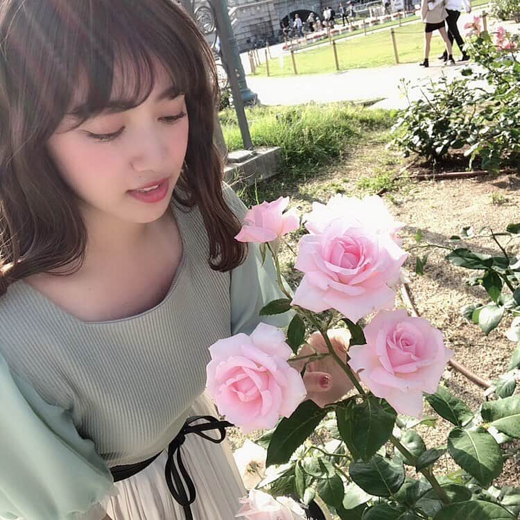 中嶋桃花さんのインスタグラム写真 - (中嶋桃花Instagram)「バラ園🌹  可愛いお花たくさんで写真もたくさん撮れて幸せだった〜💗 でも久々に日中ずっと外にいて日光たくさん浴びたからとっても疲れちゃった🤣  でもすごく充実な1日だったよ〜❤︎ 写真沢山あるから明日も楽しみにしててね🤭💫💫 #中之島バラ園 #休日の過ごし方」6月1日 21時21分 - momoka_nakajima