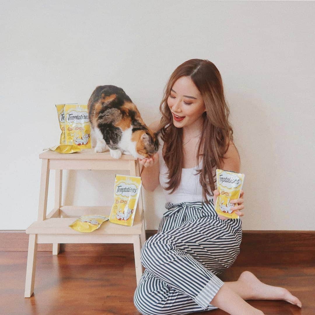 エリッサ・ヤマダのインスタグラム：「Happy cat, happy life! 😊 Glad to have introduced the famous Temptations Cat Treats to @boluthecat because she loves it so much as it is crunchy on the outside, yet soft and creamy on the inside! 💖  Anyway, you can use my discount code 'WHIS15EY' to get 15% off your #Temptations order on Shopee from 1-30 June 2019! #ShowUsYourShake」
