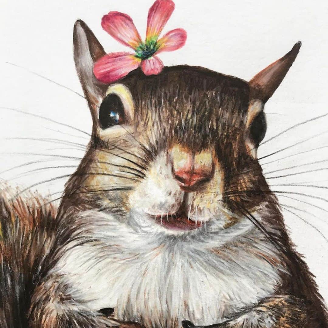 Jillさんのインスタグラム写真 - (JillInstagram)「#thisgirlisasquirrelart 🎨 @lilychaplinska . That details are amazing. Also, this was a birthday present for her friend! . #petsquirrel #squirrel #squirrels #squirrellove #squirrellife #squirrelsofig #squirrelsofinstagram #easterngreysquirrel #easterngraysquirrel #ilovesquirrels #petsofinstagram #jillthesquirrel #thisgirlisasquirrel #squirrelart」6月1日 21時56分 - this_girl_is_a_squirrel