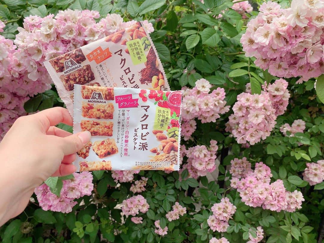 Miku Hirata 平田未来さんのインスタグラム写真 - (Miku Hirata 平田未来Instagram)「今日は、午前中から動いてました💓 季節ごとに綺麗な花の咲いている、#bamboo (@bamboo_omotesando )にも行きました💐 * 手に持っているのは、話題のマクロビ派ビスケット(@macrobiha )✨😊 子供が寝たあと、かなりお腹が空くので、 夜少し遅くなったりした時にも食べてます😋💓 * 食物繊維と鉄分も入っているので、 おやつ代わりにも🍭🥰 歯ごたえが程よくあって、 サクサクっとしています💓 * 7月23日まで写真投稿キャンペーンを実施中！抽選で100名の方に、クオカード500円分とマクロビ派ビスケット ＜フルーツグラノーラ＞＜カカオナッツ＞各6個セットが当たります💓 @macrobiha を見てみてね✨ * * #マクロビ派 #ザクザク #PR  #ヴィーガン #てんさい糖 #食物繊維  #カカオナッツ #フルーツグラノーラ  #食べスタグラム #マクロビオティック  #マクロビスイーツ  #バンブー #表参道ランチ #chesty #チェスティ #チェスティワンピース #ママコーデ #いいね返し」6月1日 21時52分 - miku.hirata
