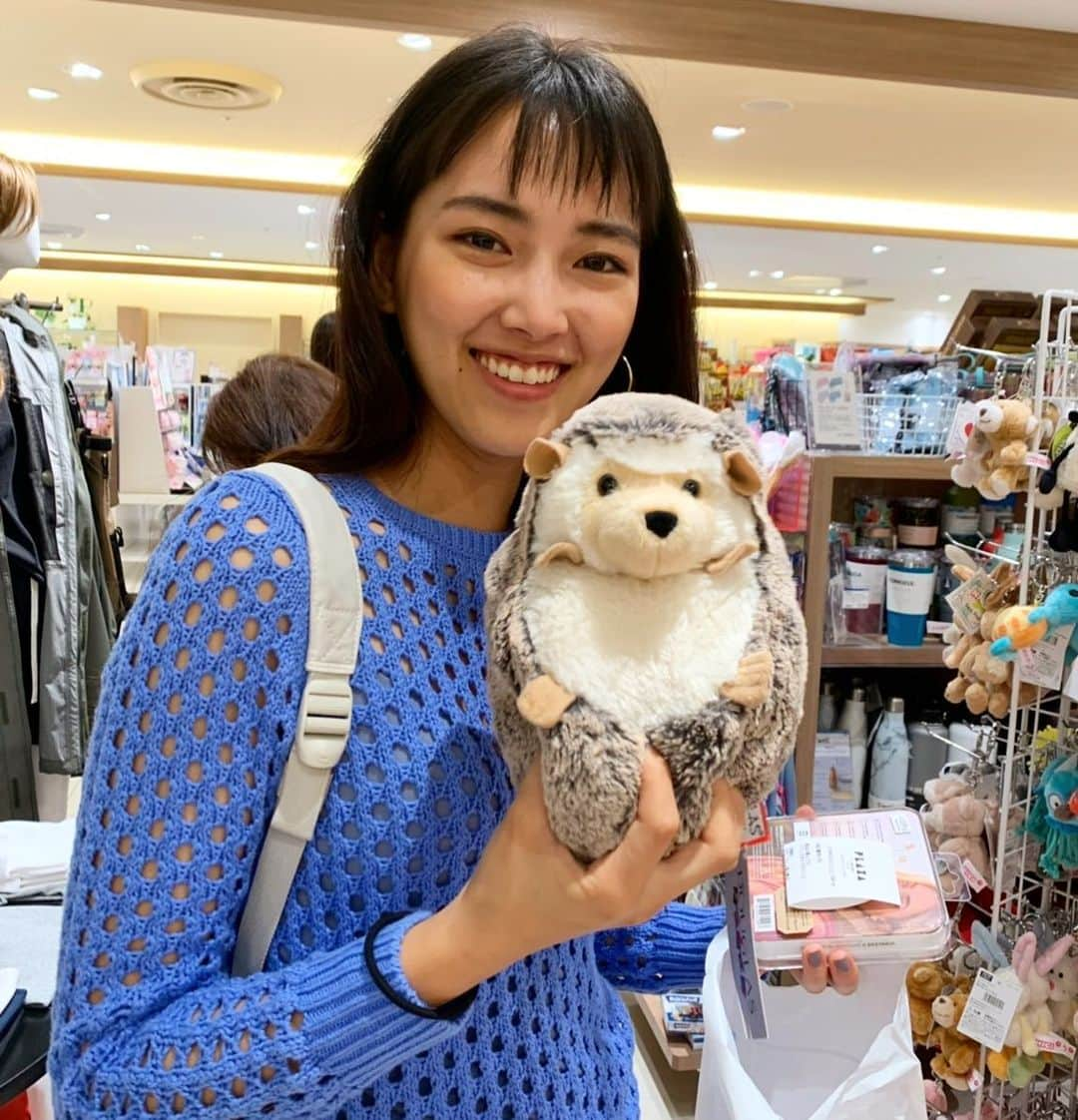 奥山春香さんのインスタグラム写真 - (奥山春香Instagram)「ハリネズミ🦔🦔🦔 @mikusawai」6月1日 22時09分 - corvetteharuka