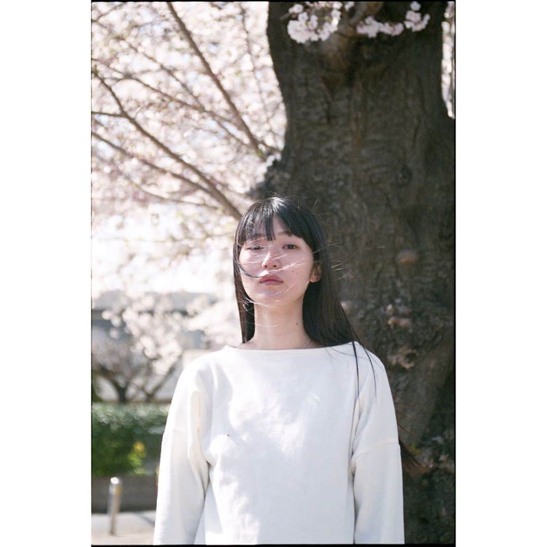 兎丸愛美さんのインスタグラム写真 - (兎丸愛美Instagram)「今年の桜はきれいに見えた もうすぐあじさいの季節がやってくるね そんなことばかり考えてる そんなことだけ考えようとしている そんなことしかわたしの気持ちを落ち着かせてくれない」6月1日 22時23分 - usamaru_manami