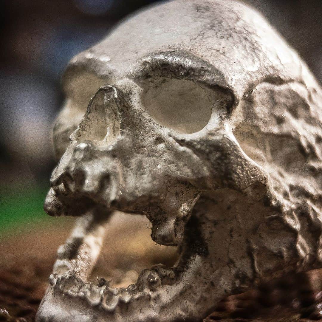 のインスタグラム：「Cliff Burton of Metallica wore one of these Plague Rings! 🎸 #legend #bass #guitar #silver #ring #feeling #mood #skull #onfleek #instafashion #instahub #instadaily #colourpop #decay #tattoo #icon #teeth #smile #eyes #celebrity」