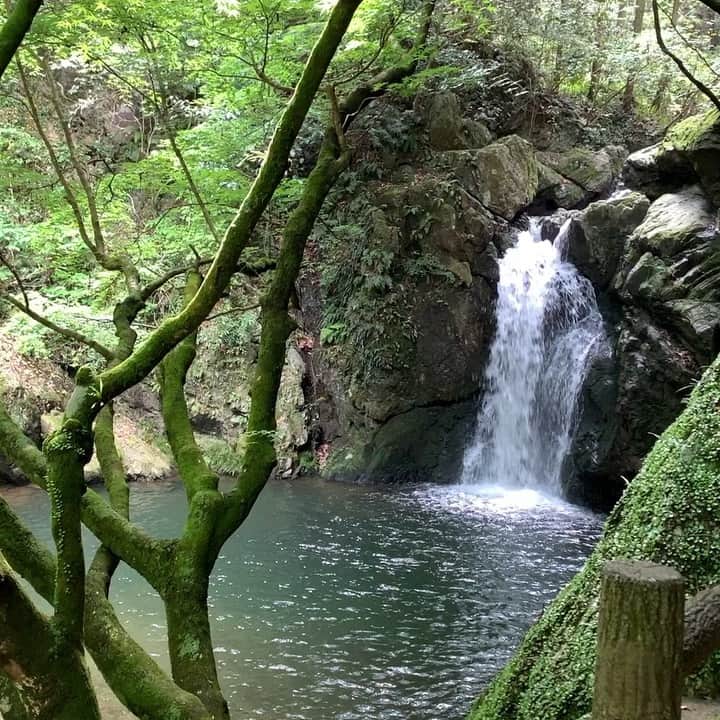 勝亦博物館のインスタグラム