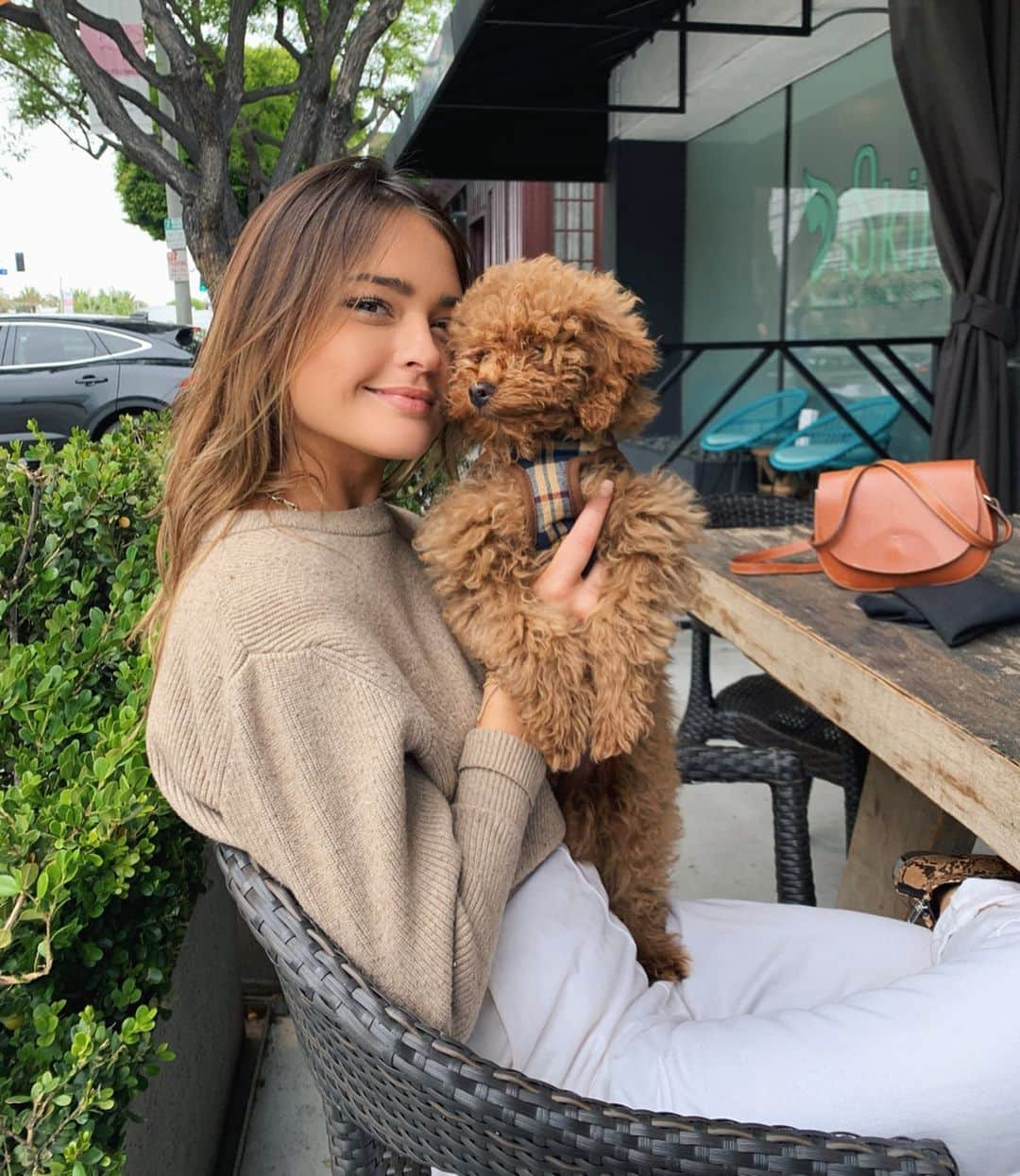 ヴェール・ゲンタさんのインスタグラム写真 - (ヴェール・ゲンタInstagram)「my weekend has consisted of this & i’m not complaining 🐾 doggy sitting @tobypons @lelepons 💛」6月2日 7時52分 - valegenta