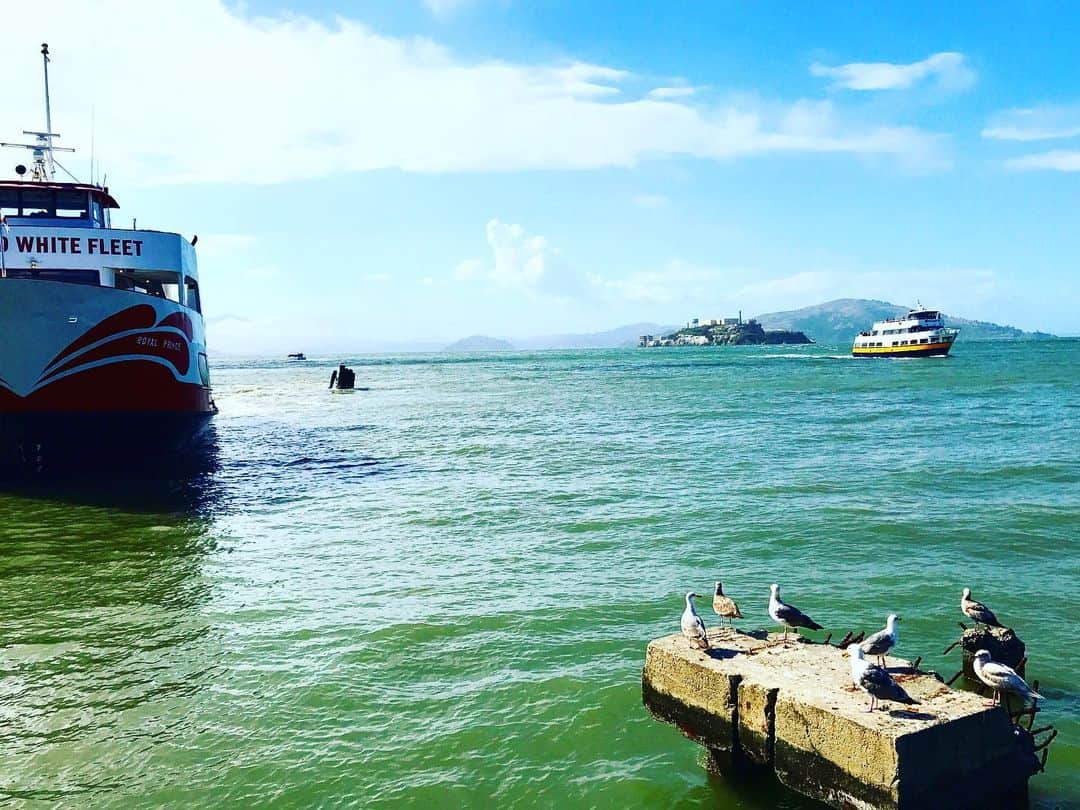 RyosukeTakenakaさんのインスタグラム写真 - (RyosukeTakenakaInstagram)「Sanfrancisco🇺🇸it was nice weather. I wandered around the port town and checked Alcatraz Island from the pier. . #アメリカ横断中#Sanfrancisco#America#study#trip#english#port#scene #locations#sea」6月2日 9時04分 - tori.usa8