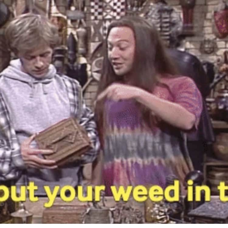 デヴィッド・スペードのインスタグラム：「@iamrobschneider telling me anything he sells i can put my weed in it. Old sketch. #snl」