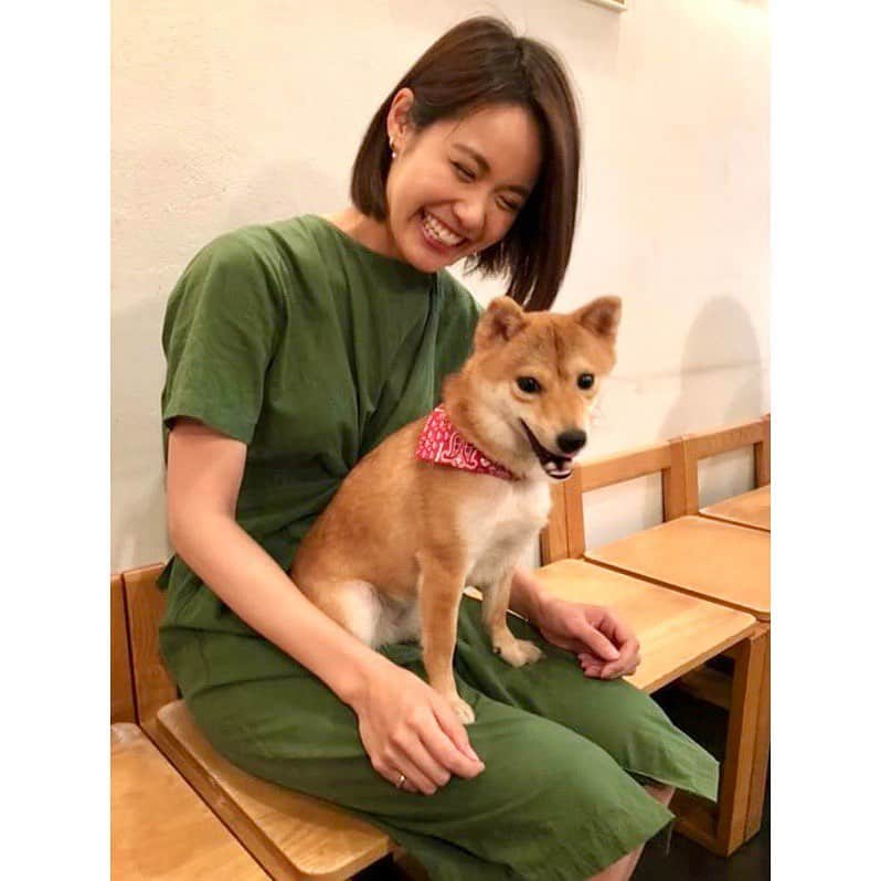 VANRIさんのインスタグラム写真 - (VANRIInstagram)「🐕>Birthday Party Night🎂❣️ いつも仲良くさせてもらってる犬友さんたちと合同お誕生日会。 集まりに行くようになってから '上には上がいるんだ' ということを学んだはなびさん。 素敵な環境に感謝の毎日です。 (はなびは一緒に遊ばず、 いつも私の膝の上で高みの見物してるだけなんだけどねw) . @nicori_japanese さんのワンちゃん用おやつはすべて無添加で、 人間が食べても美味しいレベルのものばかり👏🏻 もちろん人間用ご飯もどれも最高に美味しいのです‼️ 貸切にして頂いて店内ドッグラン状態でみんな大はしゃぎ。 それはとてもHappyなひとときでした💓 #豆柴 #柴犬 #日本犬 #犬友 #合同誕生日会  #一番小さいから踏まれないよう膝の上 #または突き飛ばされないよう安全な膝の上 #おかーちゃんの膝の上が指定席 #親バカです」6月2日 0時38分 - vanri0121